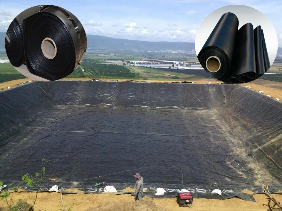 대형 새우 양어지 라이너 공장도 가격을 위한 방수막 플라스틱 LDPE/LLDPE/PVC/HDPE 차수막