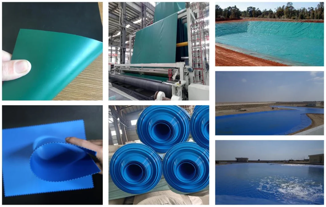 대형 새우 양어지 라이너 공장도 가격을 위한 방수막 플라스틱 LDPE/LLDPE/PVC/HDPE 차수막