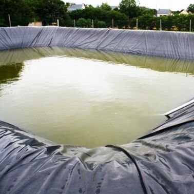 안전한 양식업 사육을 위한 튼튼한 HDPE Geomembrane 강선 농업 농장 연못 강선