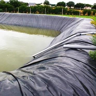 상업용 옥상 정원 단열재를 위한 뿌리 장벽 방수 HDPE 지오멤브레인 라이너 시트