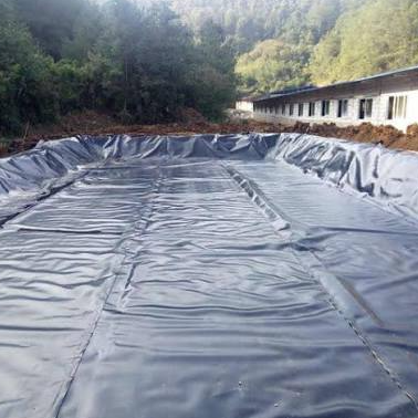 도시 폐기물 봉쇄 셀용 두꺼운 매립 HDPE 지오멤브레인 라이너