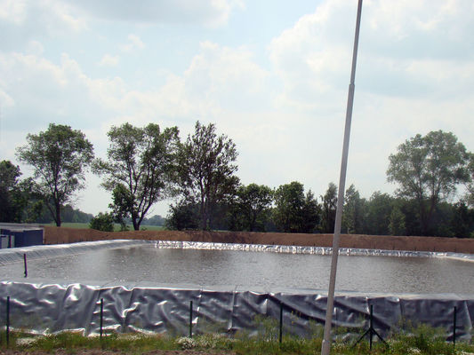 수명 10 년 물고기 연못 녹색 및 내구성