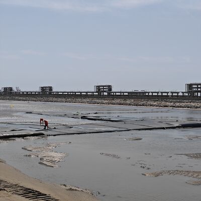 시립 슬러지 처리 프로젝트의 고 투명 지오 텍스틸 탈수 파이프