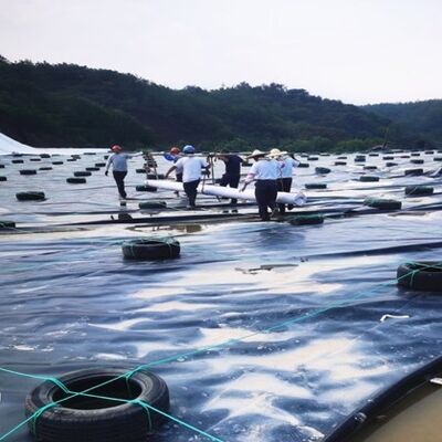 이차 봉쇄 시스템용 저투과성 검정 HDPE 지오멤브레인 라이너