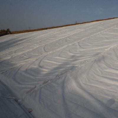 폴리에스테르 짧은 섬유 바늘 뚫린 비조직 지오텍스틸