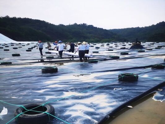1.5mm HDPE 지오 림프 라인어 광산 힙 리치 패드 특수 화학 저항