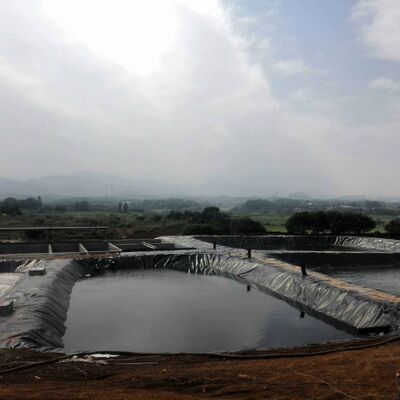 안전한 양식업 사육을 위한 튼튼한 HDPE Geomembrane 강선 농업 농장 연못 강선