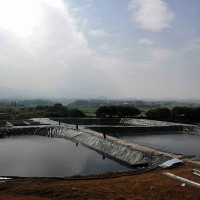 산업 화학물질과 폐수 초호를 위한 방수 장벽 HDPE Geomembrane 강선