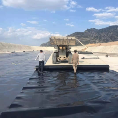 상업용 옥상 정원 단열재를 위한 뿌리 장벽 방수 HDPE 지오멤브레인 라이너 시트