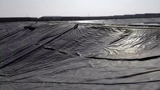 지하 방수 HDPE 매립지 라이너 차수막 4 밀리미터