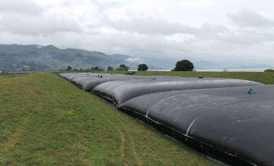 미사 여과기 모래 여과기 연안 둔덕을 위한 Geotextile 관 Geobag PP 애완 동물 Geotube 탈수