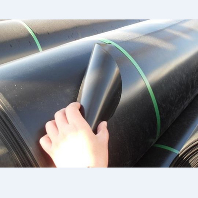 새우 물고기먹이주기를 위한 평활 표면 PVC 차수막 라이너 두께 0.2~3mm